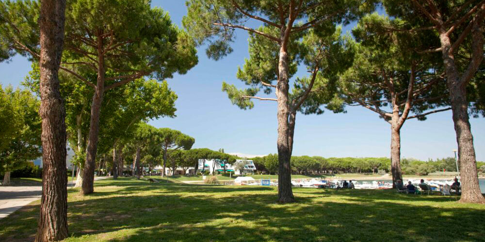 restaurant la grande motte vue sur nature restaurant la grande motte vue sur nature