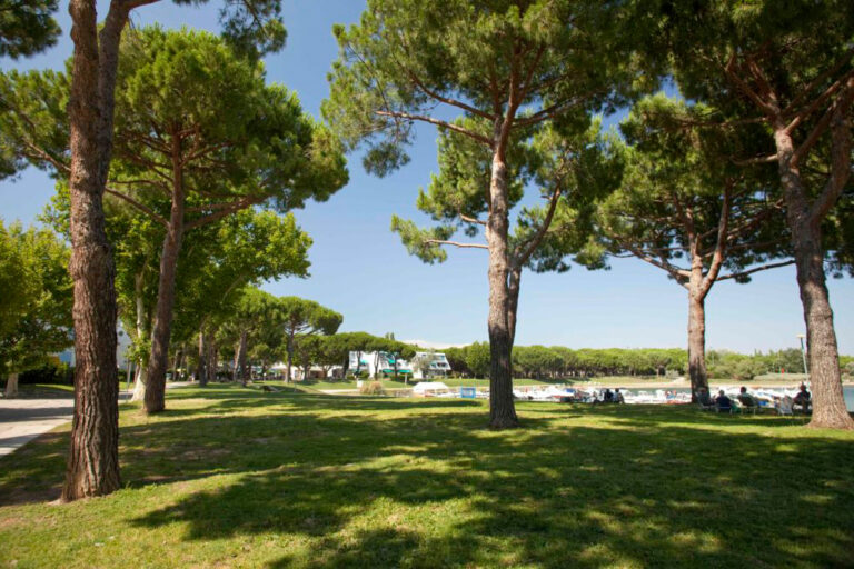 restaurant la grande motte vue sur nature