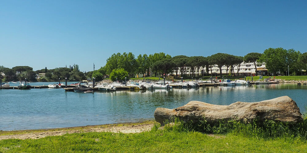 restaurant la grande motte port