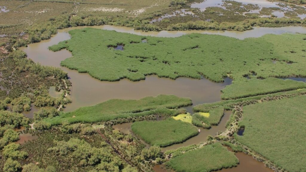 Vue du ciel du Marais du Vigueirat